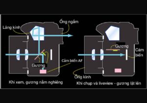 cấu tạo máy ảnh digital